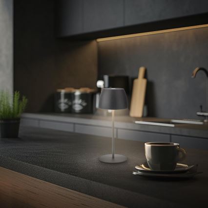 Briloner - Dimmable rechargeable touch-operated outdoor LED table lamp MINI LED/2,5W/5V IP44 1800 mAh anthracite