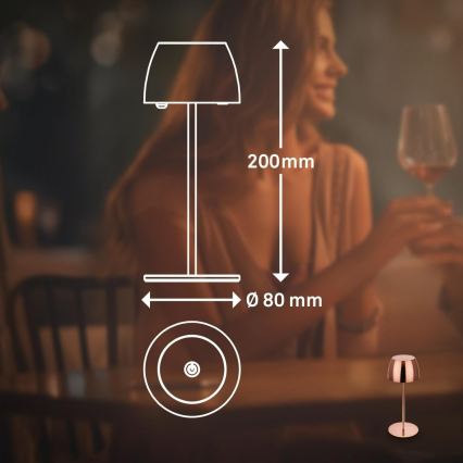 Briloner - MINI LED Rechargeable Dimmable Touch Outdoor Table Lamp, LED/2.5W/5V, IP44, 1800 mAh, Copper