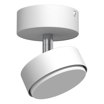 Brosline - 1x GX53/9W/230V Spotlight, White