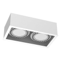 Brosline - Directional Spotlight 2xGU10/18W/230V, White