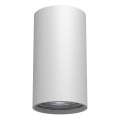 Brosline - GU10 Spotlight 1x10W/230V, White