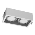 Brosline - Recessed Ceiling Light 2xGU10/18W/230V White