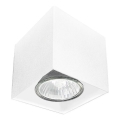 Brosline - Spotlight 1x GU10/10W/230V, white