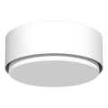 Brosline - Spotlight 1xGX53/9W/230V white