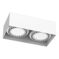 Brosline - Spotlight fixture 2xGU10/18W/230V white
