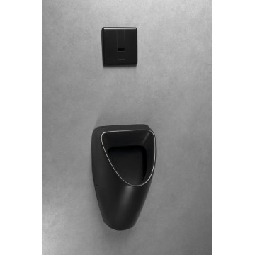 Bruckner - SCHWARN Urinal, rear water inlet, rear waste outlet + integrated 6V DC flush, black