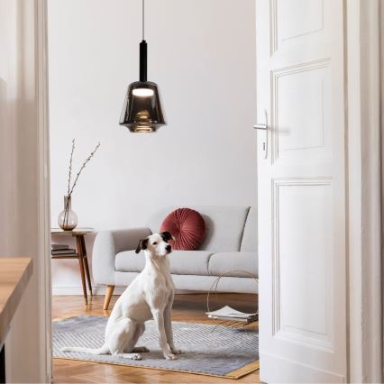 BUENO cable pendant 1xGX53/9W/230V Ø 18 cm smoked black