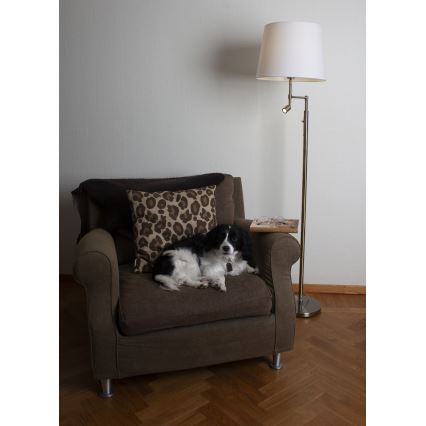 ByRydens - LED Floor lamp ORLANDO 1xE27/5W/230V + LED/3W white/bronze d. 36 cm