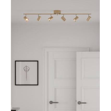 ByRydens - Spotlight CORRECT 6xGU10/7W/230V gold
