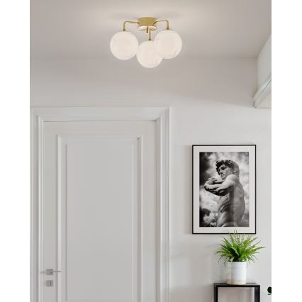 ByRydens - BELLAGIO Flush-mounted Chandelier 3xE27/8W/230V