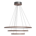 ByRydens - TRIONE LED/45W/230V cable-suspended pendant light, brown, Ø 80 cm