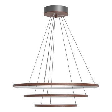 ByRydens - TRIONE LED/45W/230V cable-suspended pendant light, brown, Ø 80 cm
