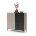 Cabinet with drawers RONJA taupe/black