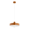Cable-hung pendant lamp NEVERA 1xE27/15W/230V copper