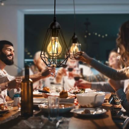 Cable-hung pendant light 1xE27/40W/230V black