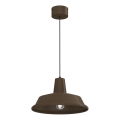 Cable-hung pendant light CLASS 1xE27/15W/230V brown