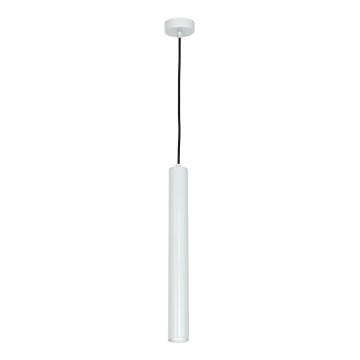 Cable-suspended LED pendant GOTO LED/4W/230V