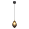 CACTUS Cable Pendant Light 1x G9/5W/230V, Black