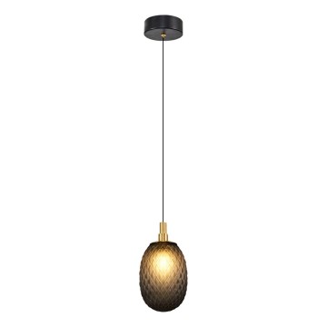CACTUS Cable Pendant Light 1x G9/5W/230V, Black