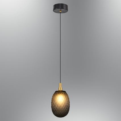 CACTUS Cable Pendant Light 1x G9/5W/230V, Black