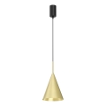 CAPITAL Cable Pendant Lamp 1xGX53/15W/230V, Ø 17 cm, Gold