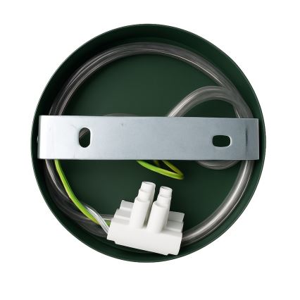 CAPITAL Wall Lamp 1x GX53/15W/230V, Green