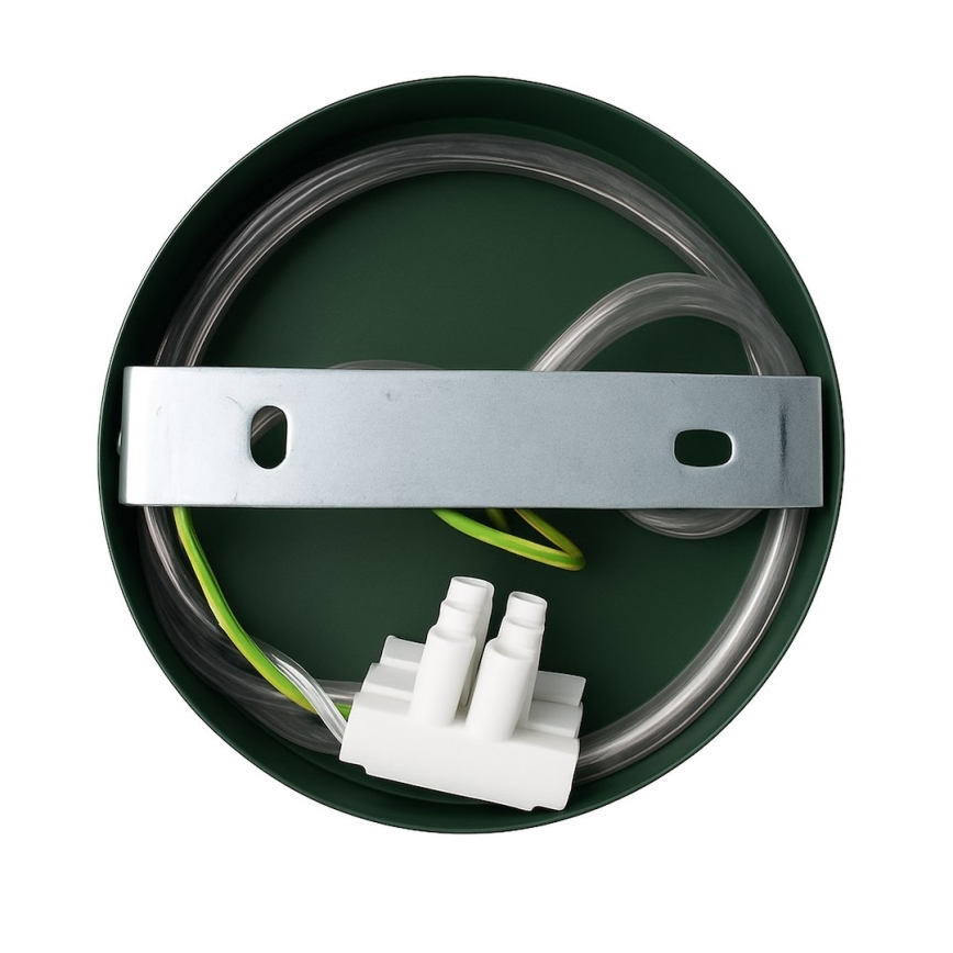 CAPITAL Wall Lamp 1x GX53/15W/230V, Green