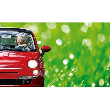 Car bulb Philips ECOVISION 12972LLECOB1 H7 PX26d/55W/12V