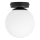 Ceiling lamp MOONLIGHT 1xE27/15W/230V Ø 16 cm black