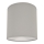 Ceiling light 1xE27/40W/230V grey