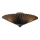 Ceiling light 5xE14/15W/230V black