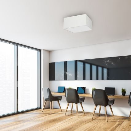 Ceiling light ALBION 3xE27/60W/230V