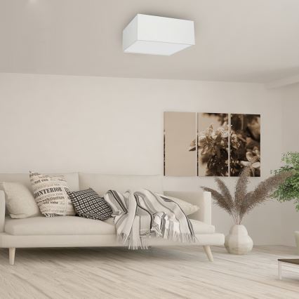 Ceiling light ALBION 3xE27/60W/230V