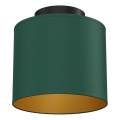 Ceiling light ARDEN 1xE27/15W/230V Ø 18 cm green