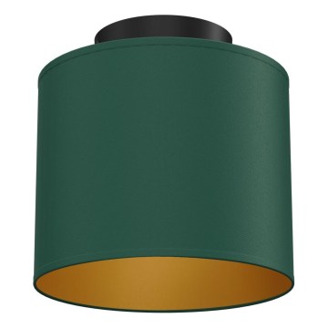 Ceiling light ARDEN 1xE27/15W/230V Ø 18 cm green