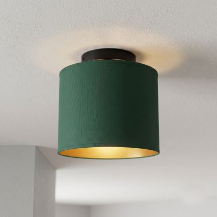 Ceiling light ARDEN 1xE27/15W/230V Ø 18 cm green