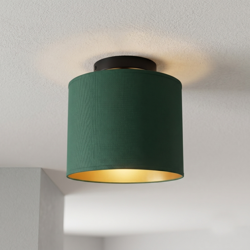 Ceiling light ARDEN 1xE27/15W/230V Ø 18 cm green