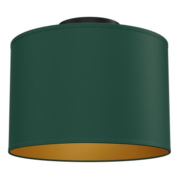 Ceiling light ARDEN 1xE27/15W/230V Ø 25 cm green