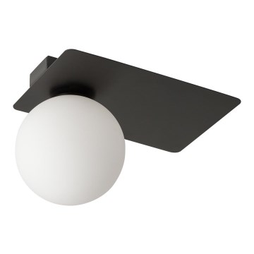 Ceiling light ARGON 1xG9/12W/230V black