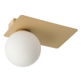 Ceiling light ARGON 1xG9/12W/230V gold