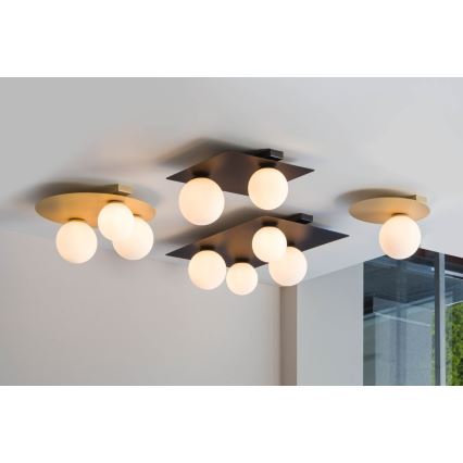 Ceiling light ARGON 2xG9/12W/230V black