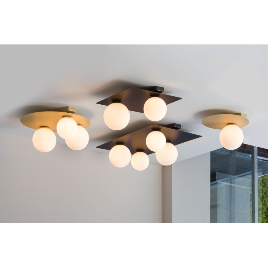 Ceiling light ARGON 2xG9/12W/230V black