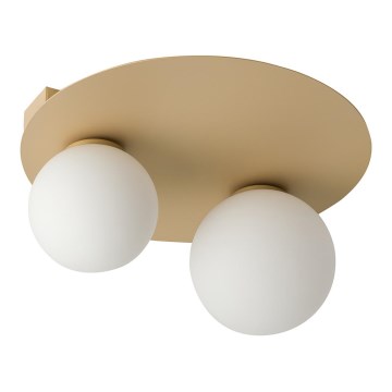 Ceiling light ARGON 2xG9/12W/230V gold
