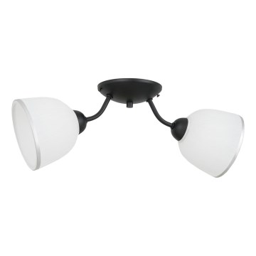 Ceiling light AVIA 2xE27/60W/230V