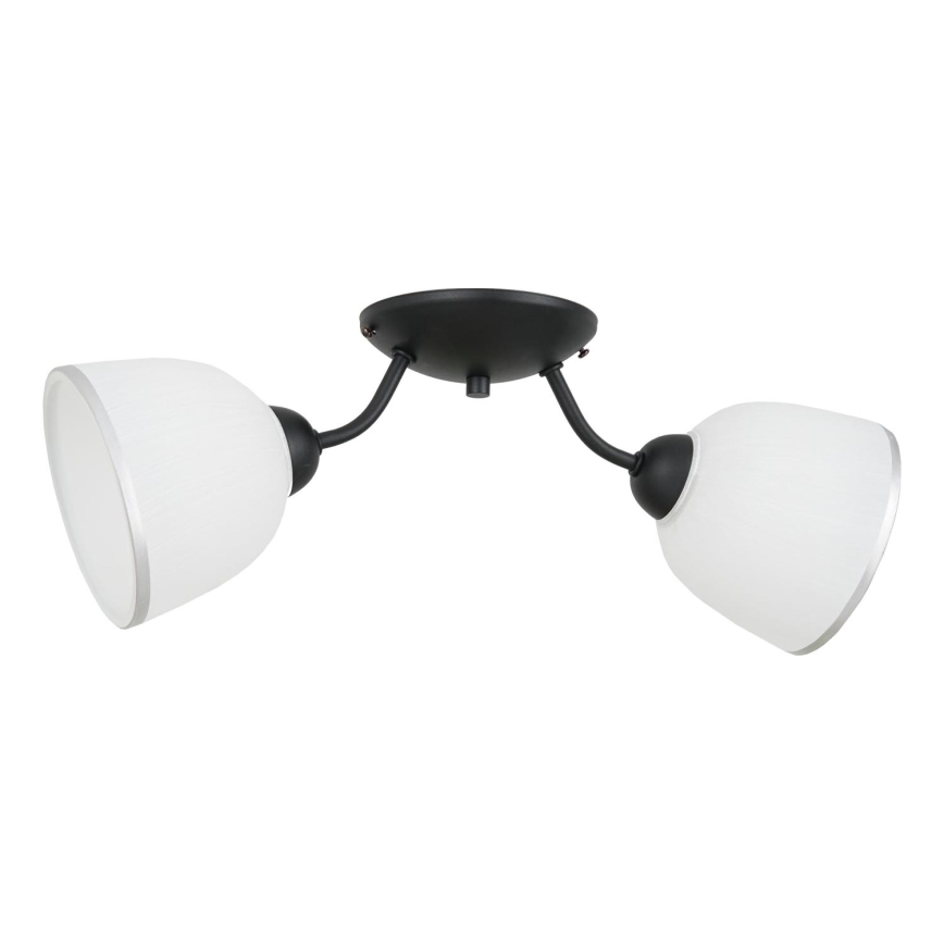 Ceiling light AVIA 2xE27/60W/230V