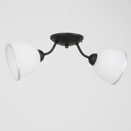 Ceiling light AVIA 2xE27/60W/230V