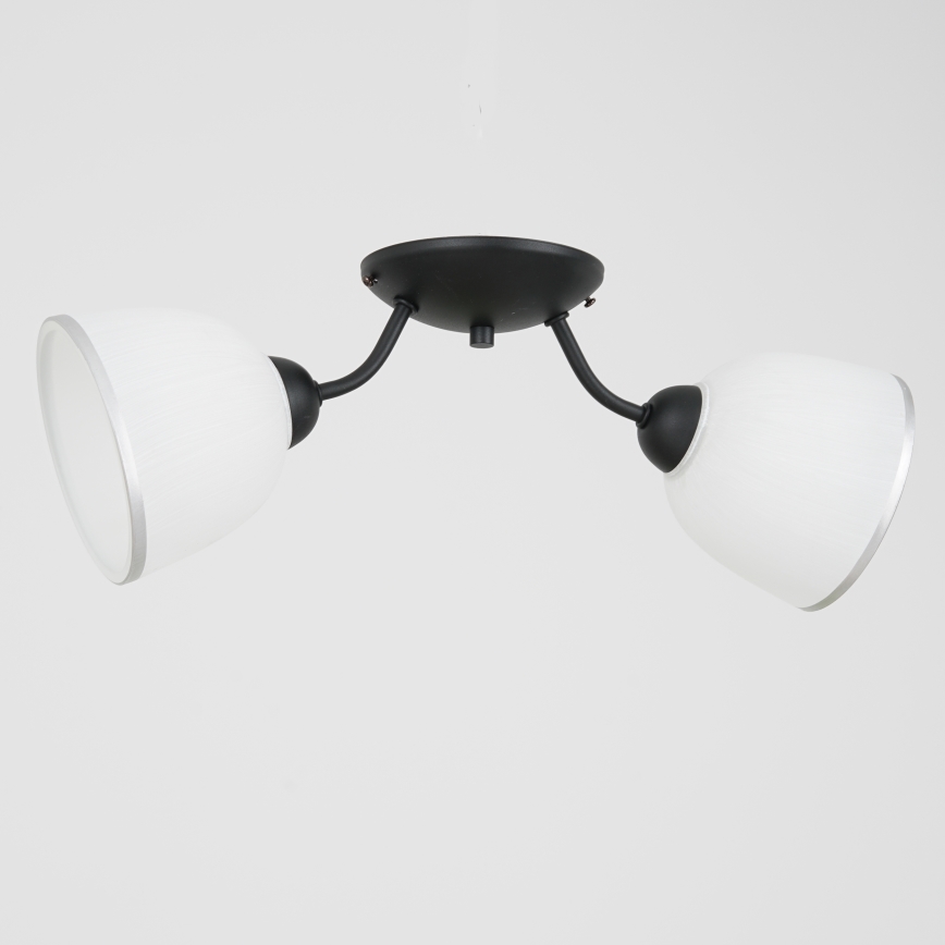 Ceiling light AVIA 2xE27/60W/230V