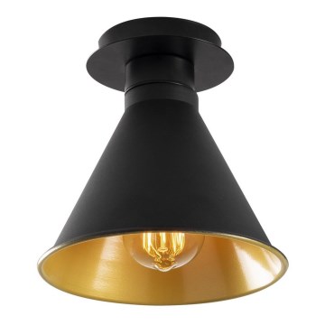 Ceiling light BERCESTE 1xE27/40W/230V