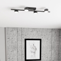 Ceiling light BET 4xGX53/12W/230V black