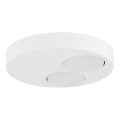 Ceiling light BROS 2xGX53/12W/230V white